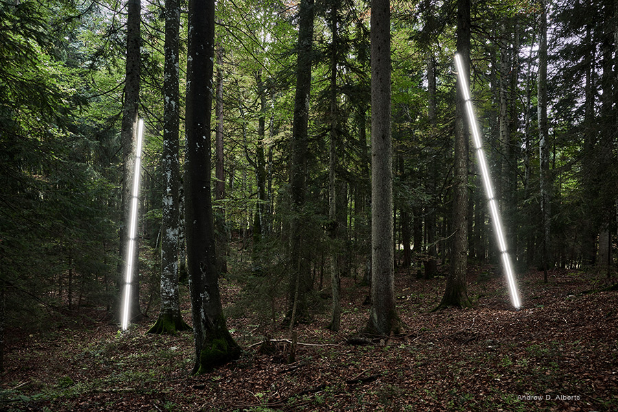 Light installation forest slim luminaires Luxsystem