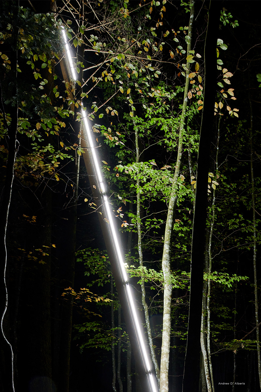 Lighting forest slim luminaires Luxsystem