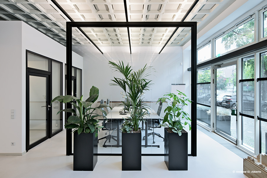 Office lighting in coworking space with luxsystem
